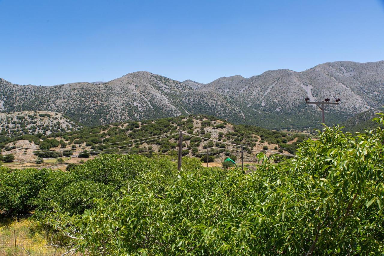 Villa Skyphos Ammoudari المظهر الخارجي الصورة